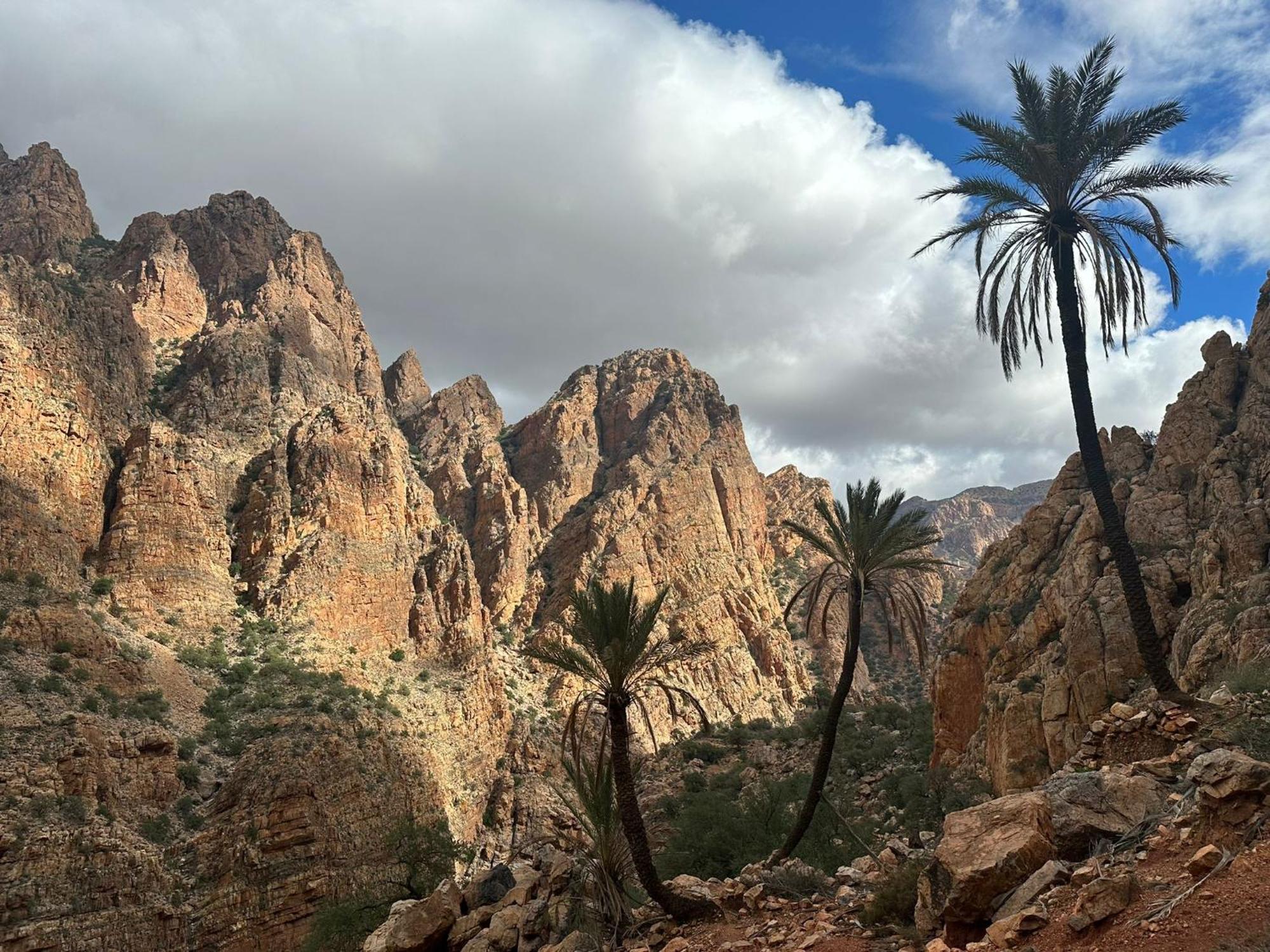 Dar Ajgal Bed & Breakfast Dourtane Exterior photo